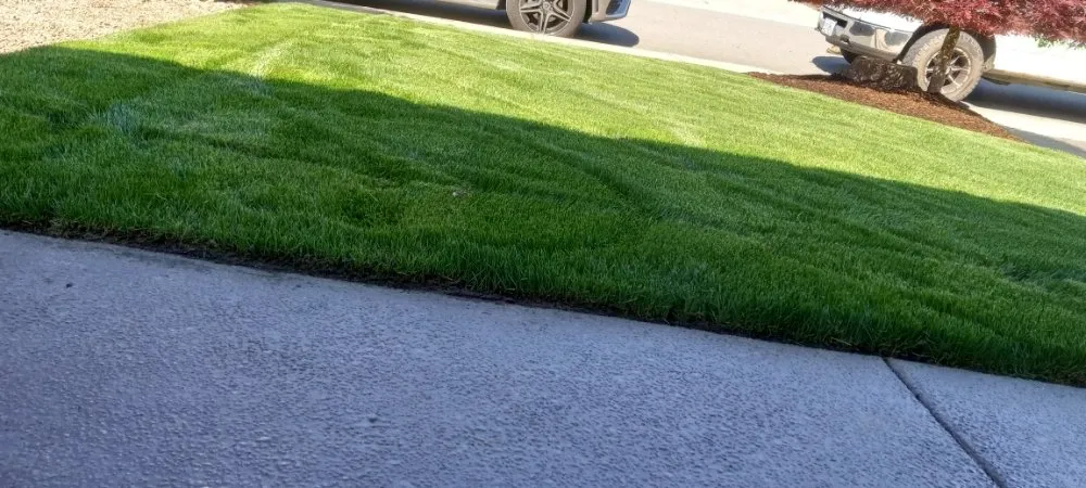 Trusted residential landscaping experts serving Salem, OR - Green D M Landcare