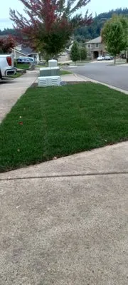 Green D M Landcare Logo