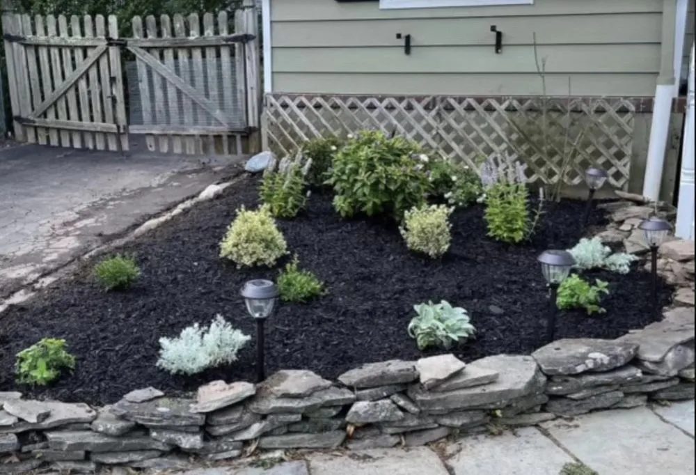 Top-rated yard maintenance for beautiful yards across Conley, GA - Green Dale Lawn Care & Handyman