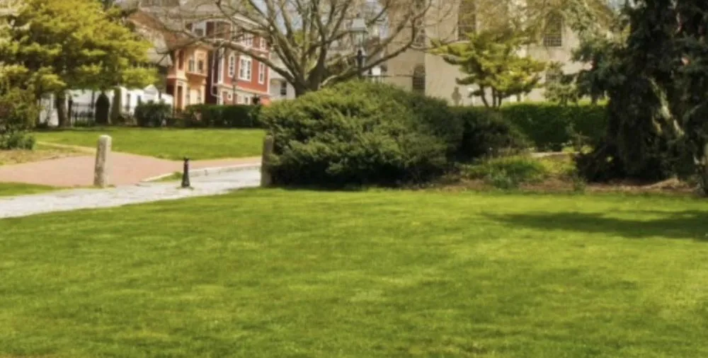 Custom yard cleanup service for residential properties in Conley, GA by Green Dale Lawn Care & Handyman