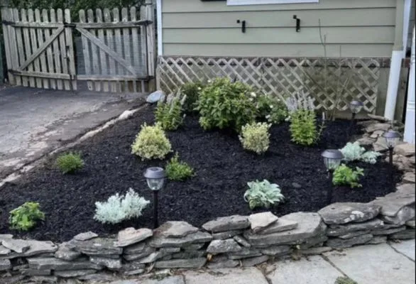 Green Dale Lawn Care & Handyman