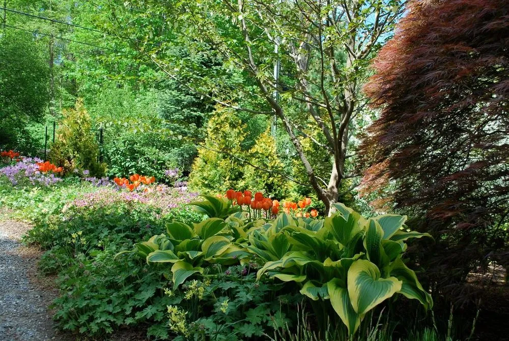 Local residential landscaping experts serving Stamford, CT - Green Day Landscape