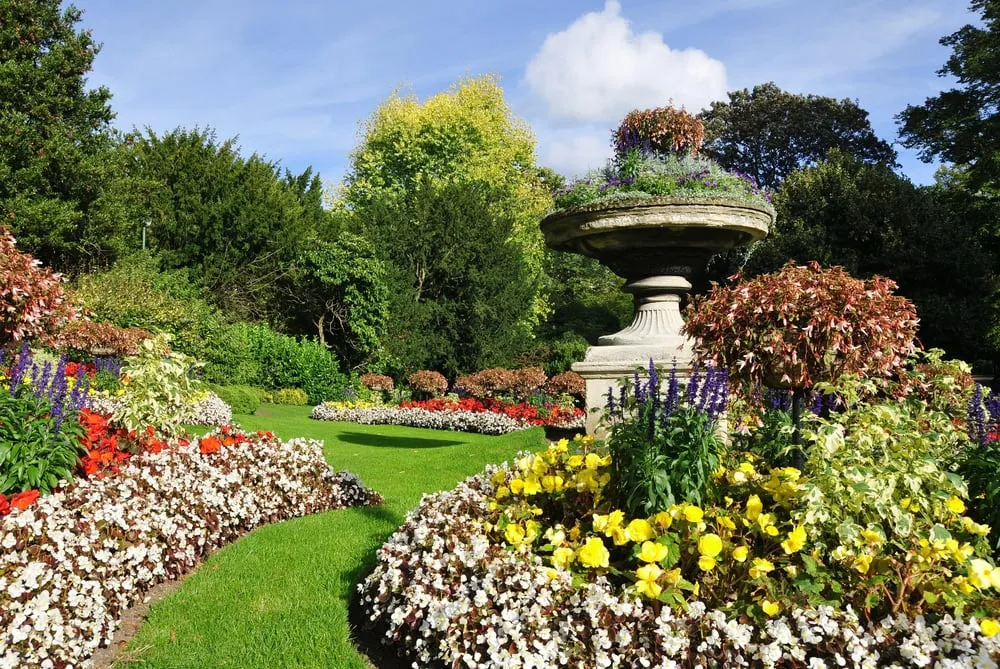 Expert yard cleanup service for beautiful yards across Stamford, CT - Green Day Landscape