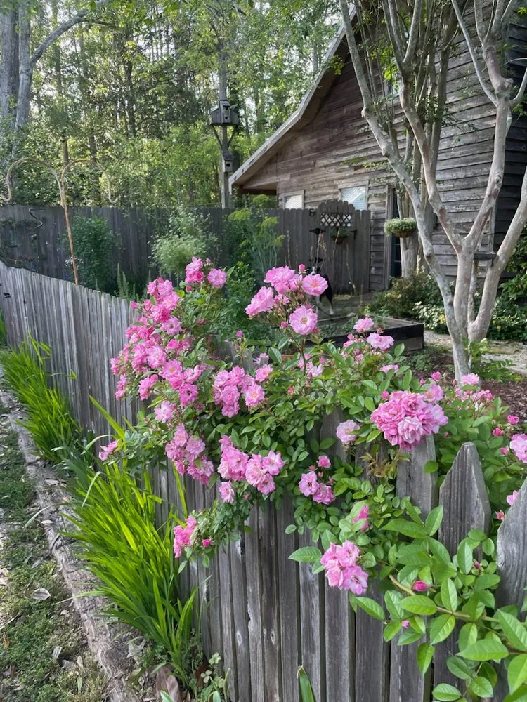 Affordable landscape installation for homes across Lacombe, LA - Green Day Landscaping