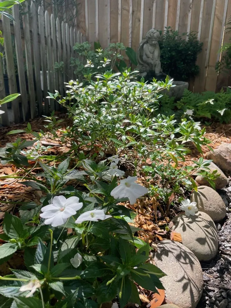 Expert garden landscaping experts serving Lacombe, LA - Green Day Landscaping