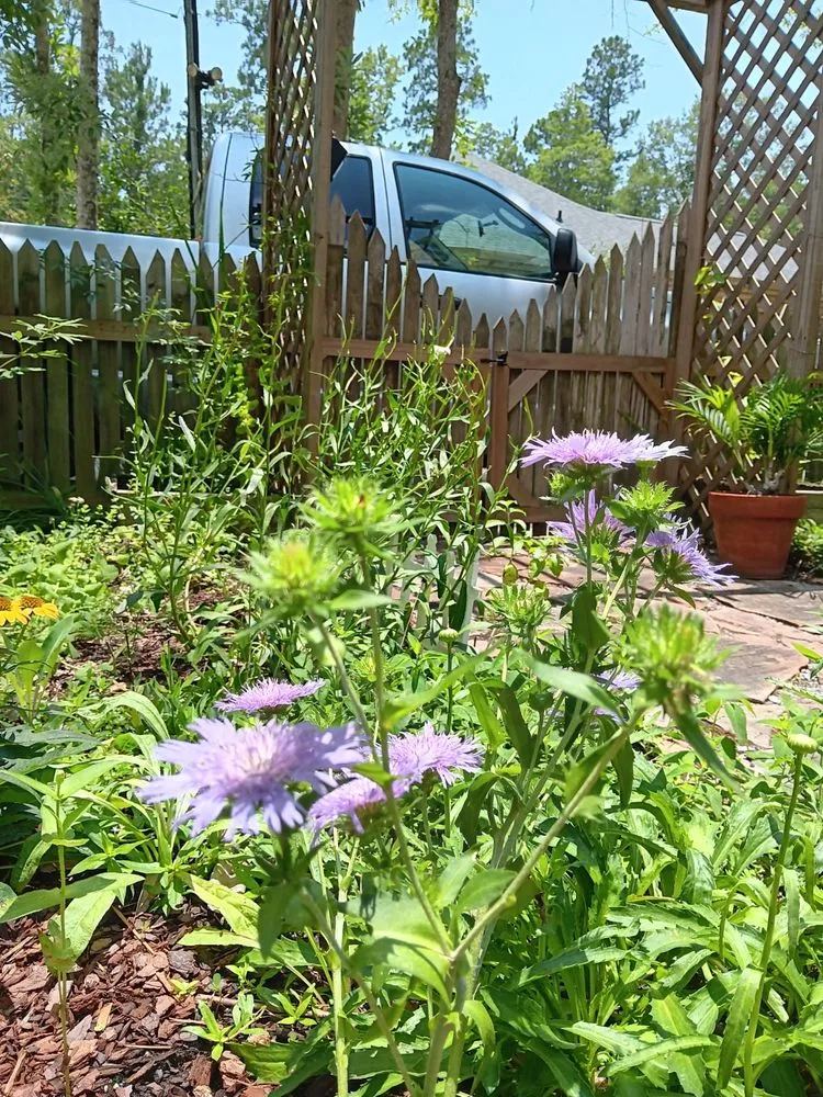 Reliable landscape design for outdoor upgrades across Lacombe, LA - Green Day Landscaping