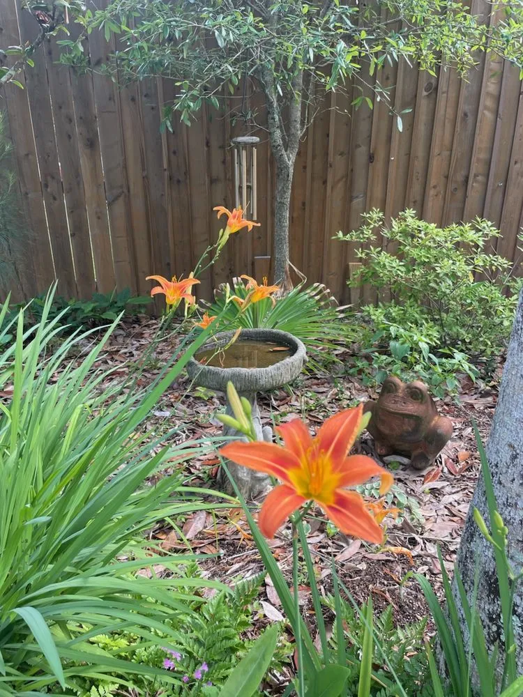 Trusted yard cleanup service in Lacombe, LA by Green Day Landscaping