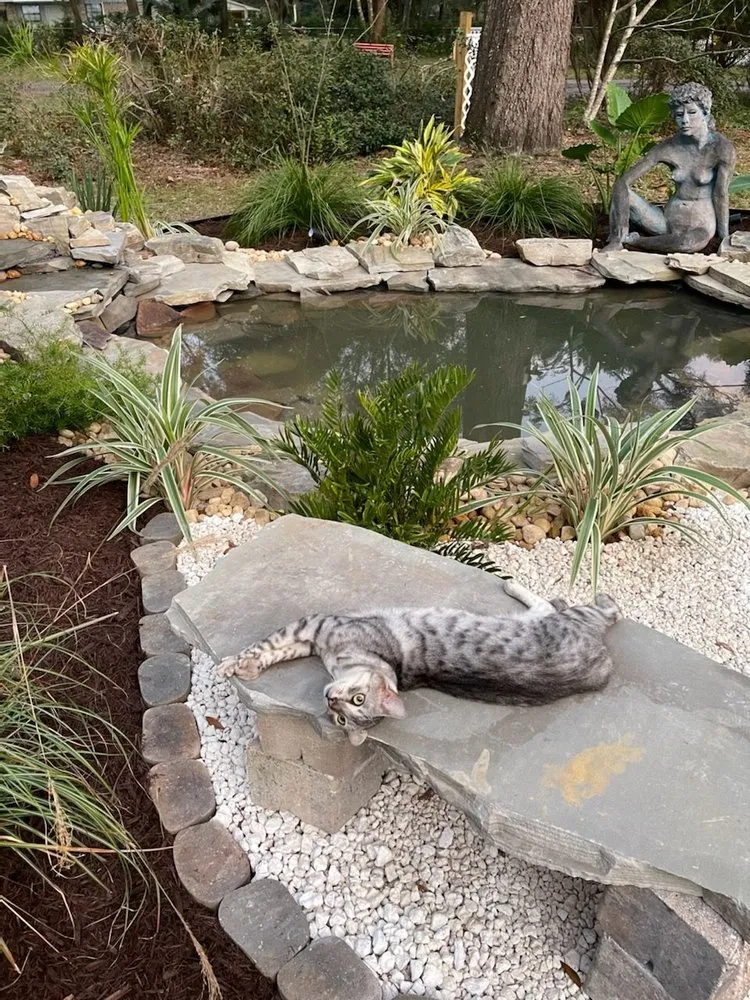 Professional yard cleanup service in Milton, FL - Green Day Landscaping