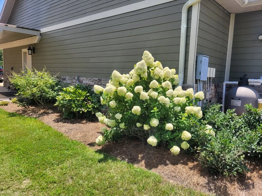 Top-rated landscaping services experts serving Milton, FL - Green Day Landscaping