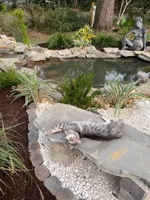 Green Day Landscaping Logo