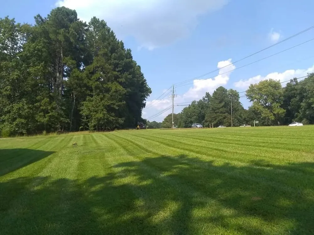 Local landscape design in Raleigh, NC - Green Day Landscaping