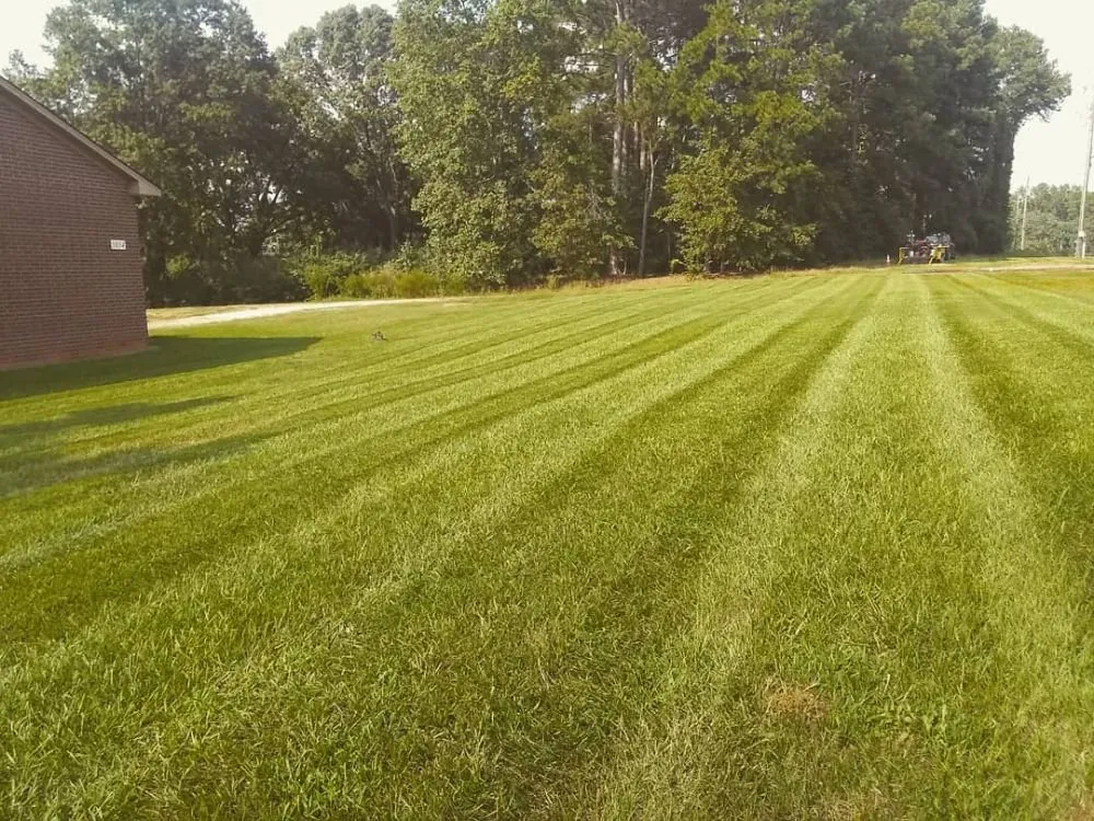 Top-rated yard maintenance for year-round maintenance across Raleigh, NC - Green Day Landscaping