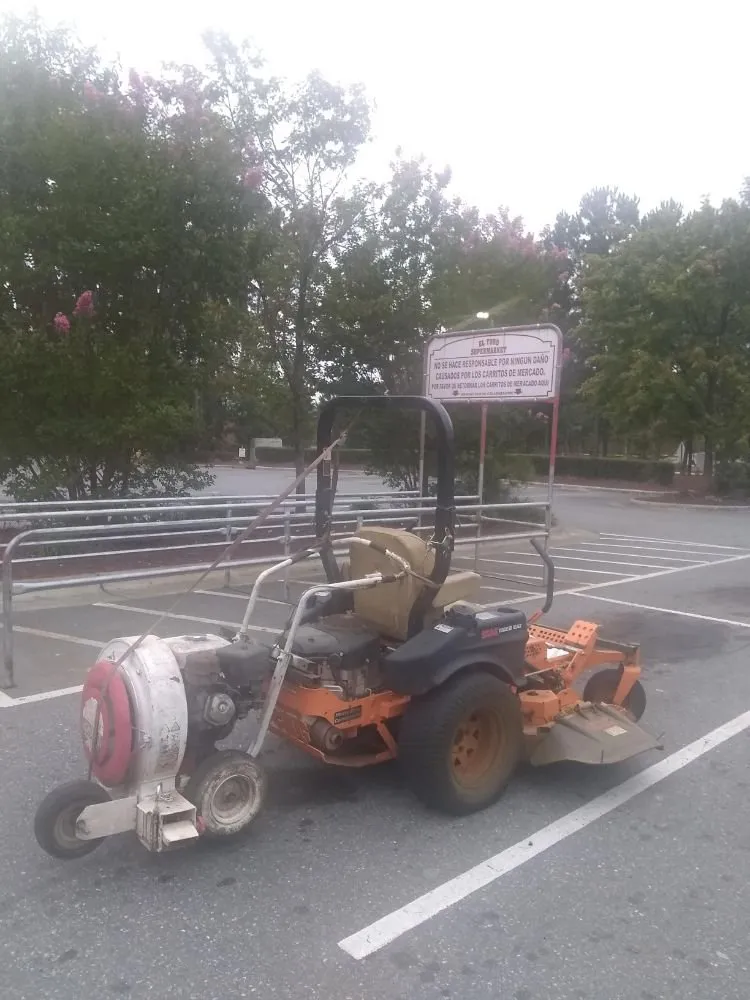 Local garden landscaping in Raleigh, NC by Green Day Landscaping