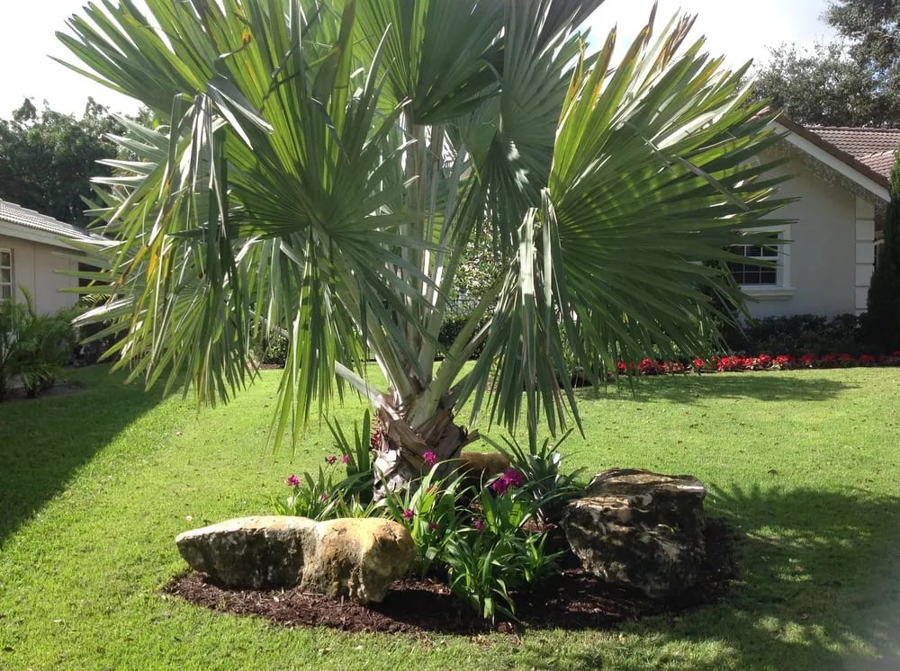 Top-rated outdoor landscaping experts serving Boca Raton, FL - Green Day Tree & Landscape