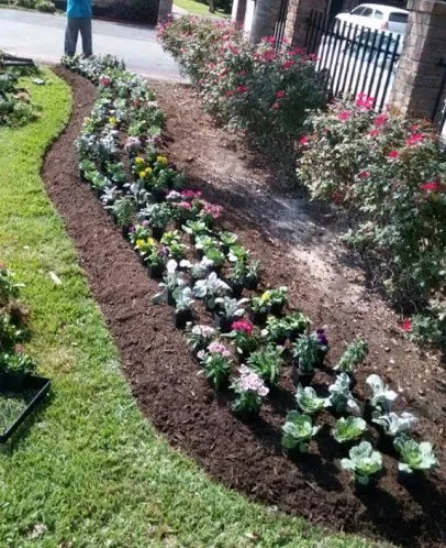 Expert landscaping services in Houston, TX by Green Days Lawn Care