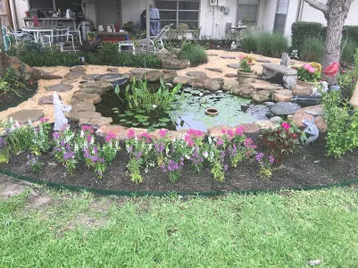 Expert yard cleanup service in Houston, TX by Green Days Lawn Care