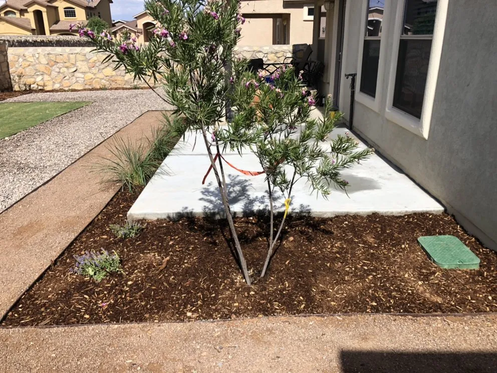 Affordable landscape design in Las Cruces, NM by Green Desert Landscaping and Irrigation