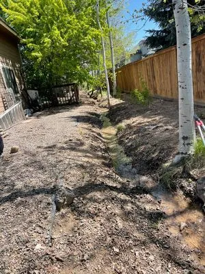 Green Desert Landscaping