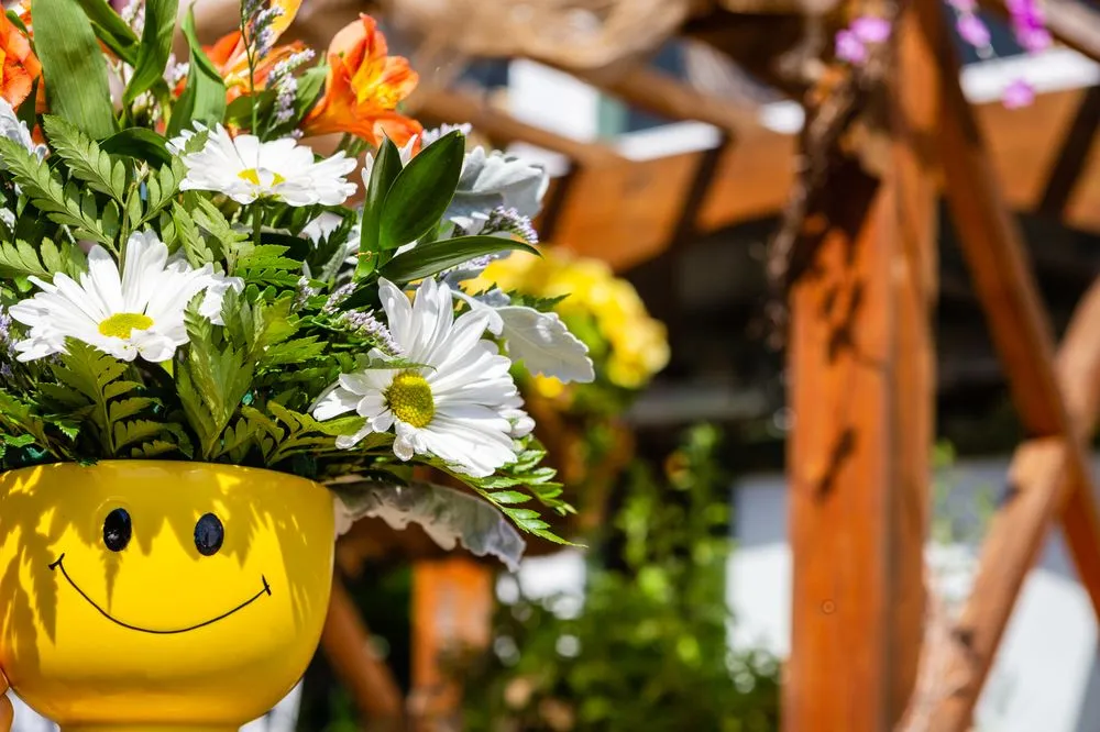 Trusted lawn care service experts serving Roanoke, VA - Green Designs