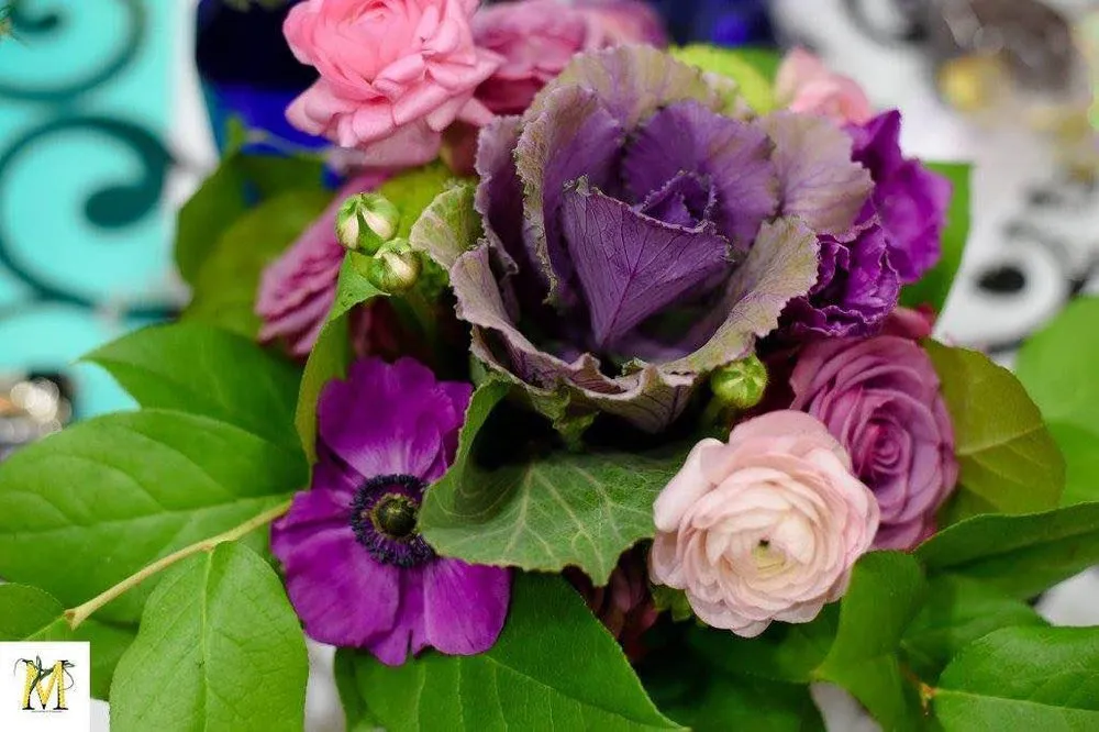 Reliable outdoor landscaping experts serving Roanoke, VA - Green Designs