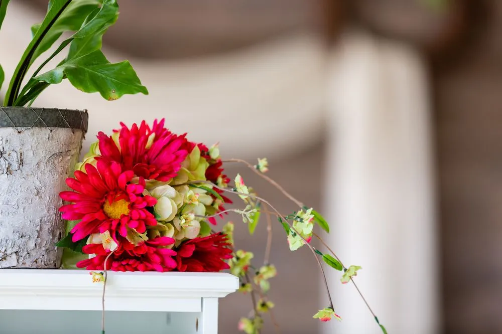 Trusted landscaping services for beautiful yards in Roanoke, VA by Green Designs