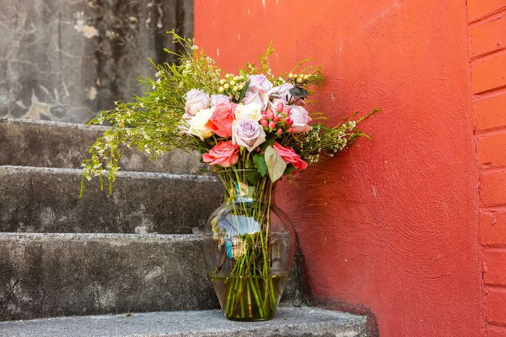 Professional landscaping services for year-round maintenance across Roanoke, VA - Green Designs