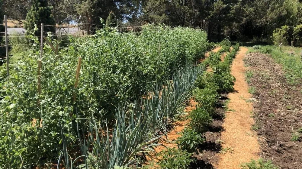 Reliable yard maintenance in Bend, OR - Green Diamond Landscape and Design