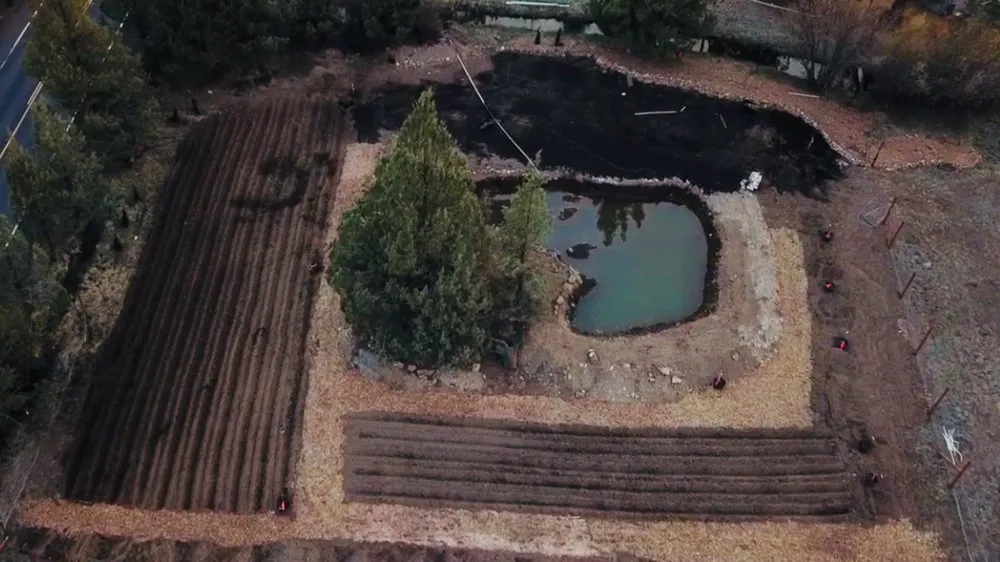 Top-rated lawn care service for outdoor upgrades in Bend, OR by Green Diamond Landscape and Design