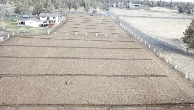 Top-rated yard cleanup service in Bend, OR - Green Diamond Landscape and Design