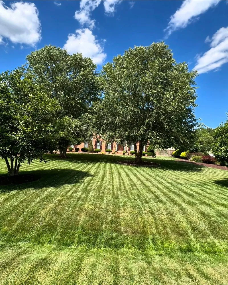 Reliable lawn mowing service for year-round maintenance across Midlothian, VA - Green Diamond Landscaping