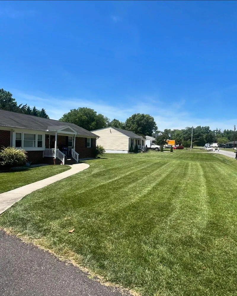 Affordable yard maintenance for beautiful yards across Midlothian, VA - Green Diamond Landscaping