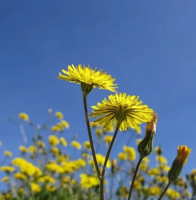 Reliable outdoor landscaping near you across Reisterstown, MD - Green Diamond Landscaping