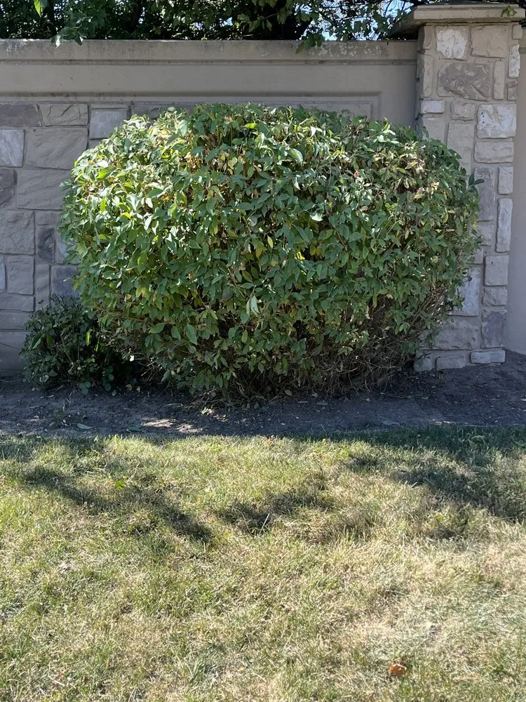 Expert landscape installation in Sandy, UT - Green don’t stop