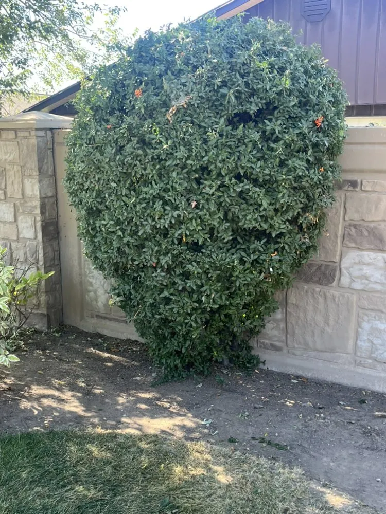 Custom residential landscaping experts serving Sandy, UT - Green don’t stop