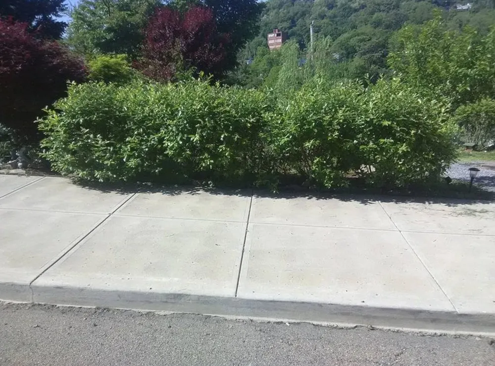 Custom landscaping services experts serving Pittsburgh, PA - Green Dragon Labor Crews