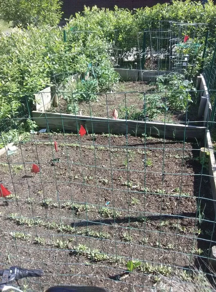 Professional landscape design for residential properties across Pittsburgh, PA - Green Dragon Labor Crews