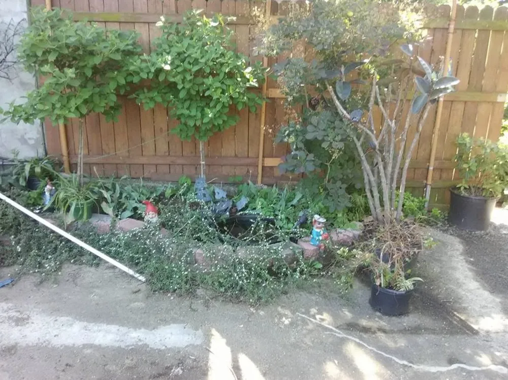 Affordable landscaping services experts serving Pittsburgh, PA - Green Dragon Labor Crews