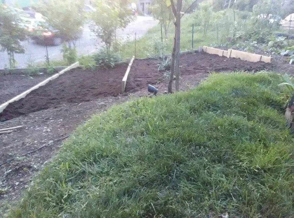 Custom yard cleanup service in Pittsburgh, PA - Green Dragon Labor Crews