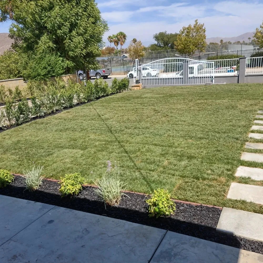 Affordable landscape design for year-round maintenance in Fontana, CA by Green Dream landscape