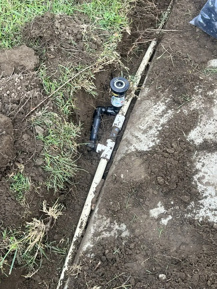 Affordable residential landscaping for beautiful yards across Fontana, CA - Green Dream landscape