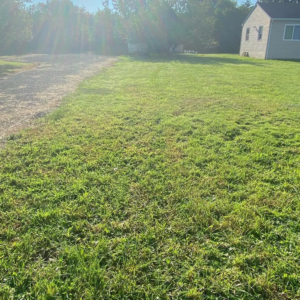 Local lawn care service in Hamptons Bay, NY by Green Dream Landscapes