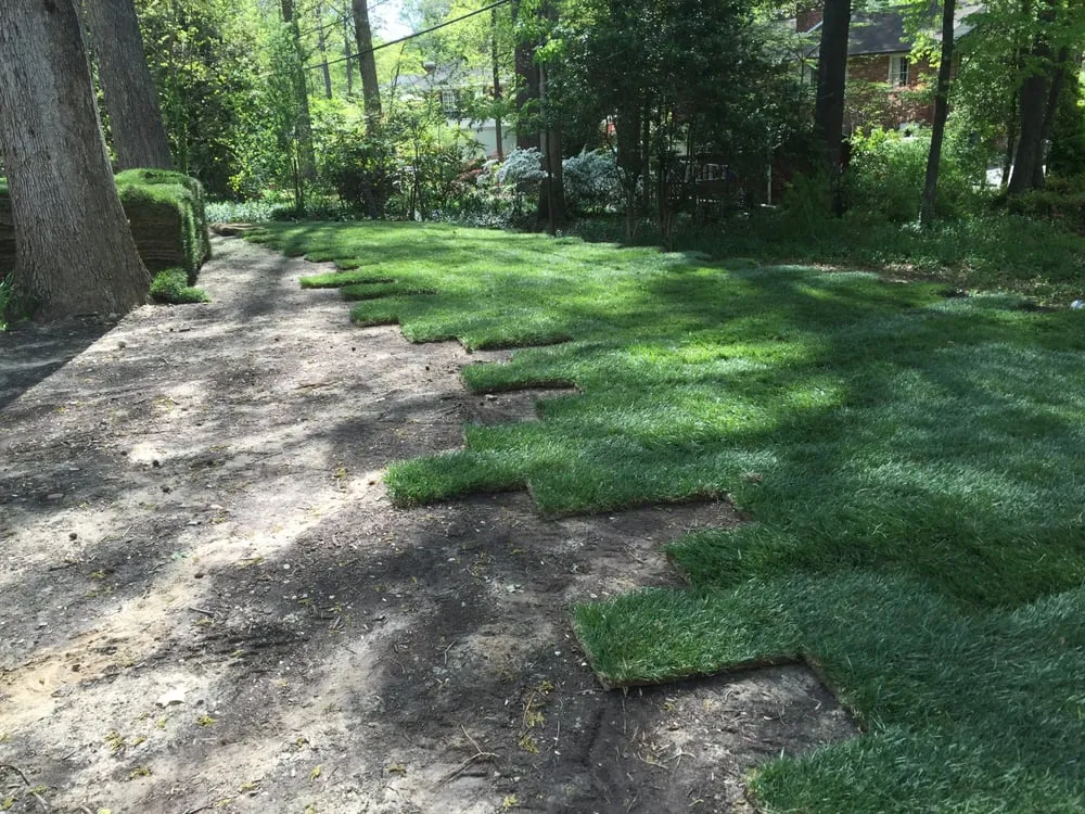 Reliable landscape design for outdoor upgrades across Richmond, VA - Green Dream Landscaping and Snow Removal