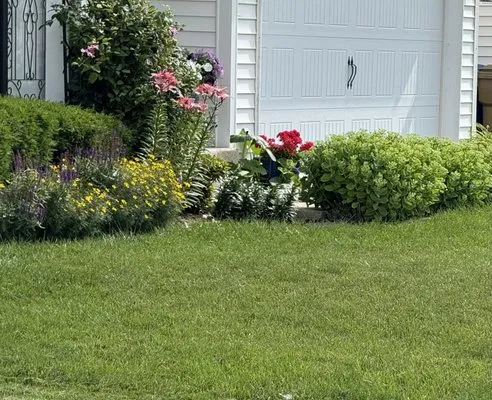 Green Dream Lawn Care