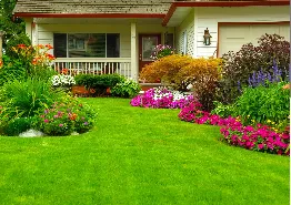 Expert yard maintenance in Humble, TX by Green Dream Lawn