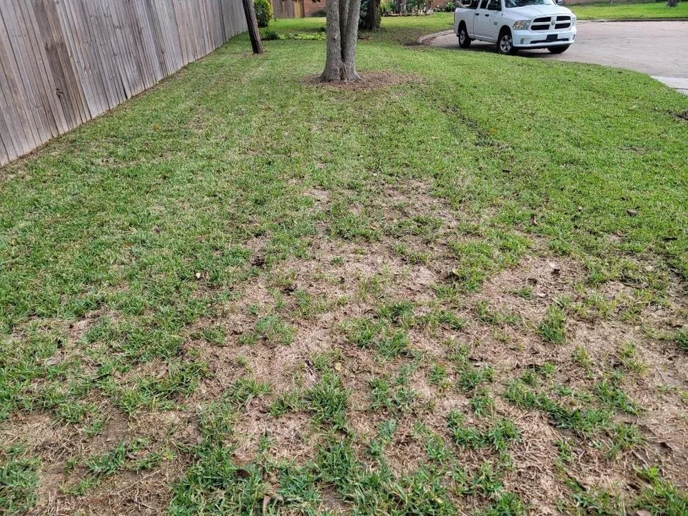 Local outdoor landscaping in Humble, TX by Green Dream Lawn