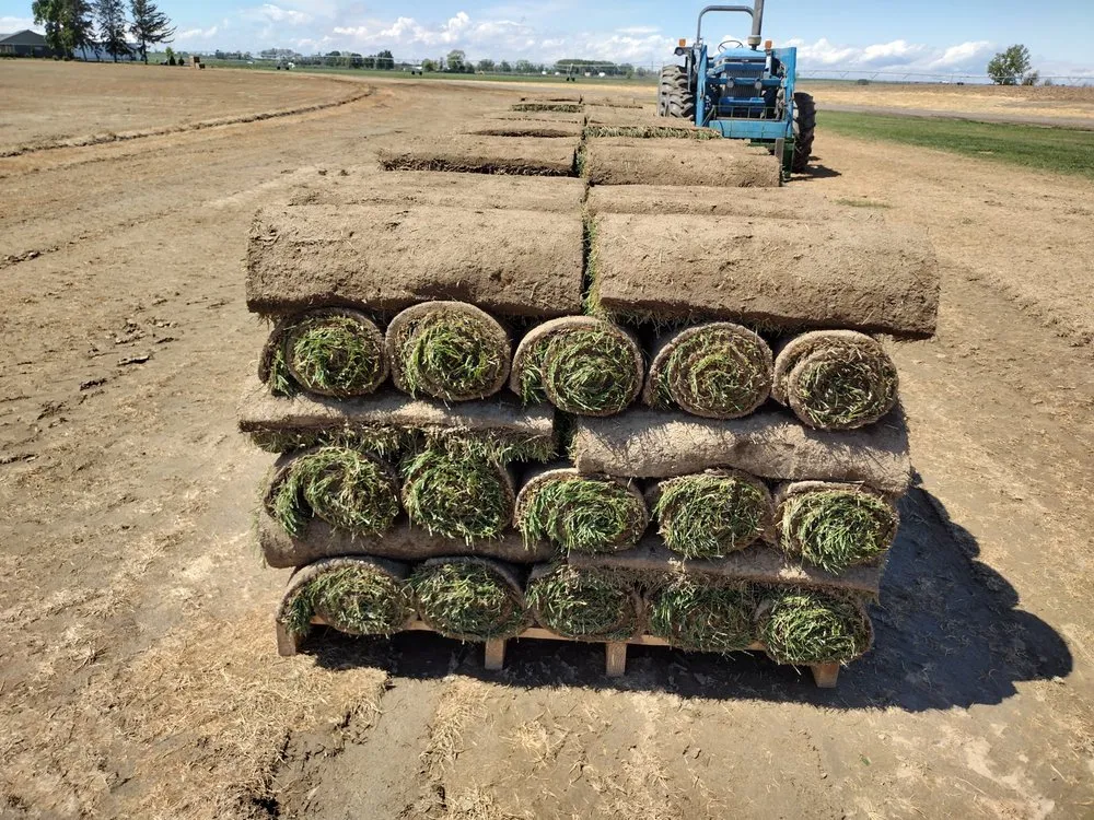 Affordable lawn mowing service experts serving Baker City, OR - Green Dreams Landscaping