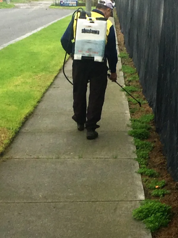 Trusted lawn care service experts serving Glendale, AZ - Green Dreams Landscaping