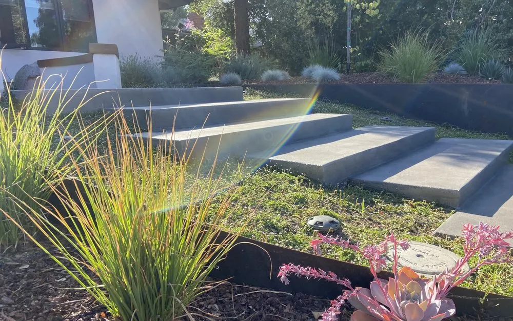 Local landscaping services for year-round maintenance in San Diego, CA by Green Dreams Landscaping