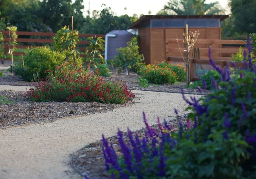 Local landscape design in San Diego, CA - Green Dreams Landscaping