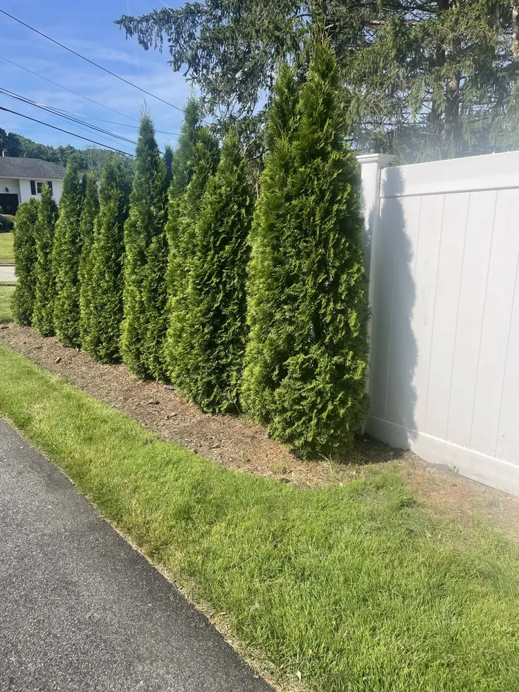Affordable landscaping services experts serving Wayne, NJ - Green Dreams Landscaping